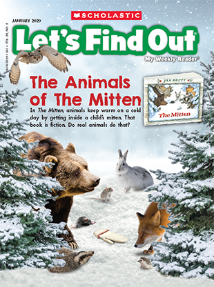 the mitten story animals in order