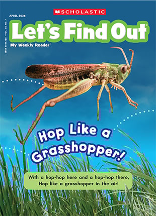 Cover of Let's Find Out, with a grasshopper on grass against a blue sky