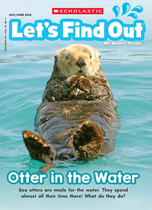 Cover of Let's Find Out, a sea otter floats on its back in calm water