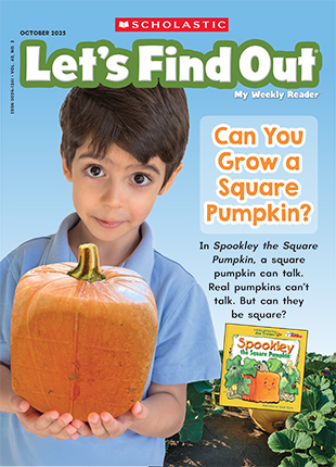 ️️️️LETS FIND OUT ABOUT THE SUN️️️️六冊セット Make Learning Fun with Seasonal Nonfiction Magazines for