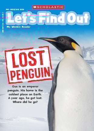 Lots of Things to Know About5冊 All Issues