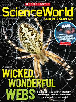 Magazine Issue Cover